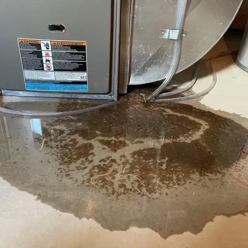 Appliance Leak Cleanup in Carterville, IL